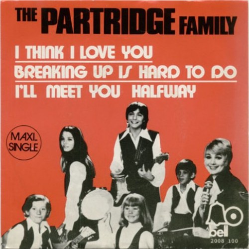 Partridge Family